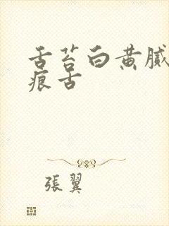 舌苔白黄腻有齿痕舌