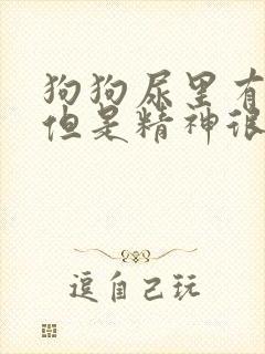 狗狗尿里有血块但是精神很好