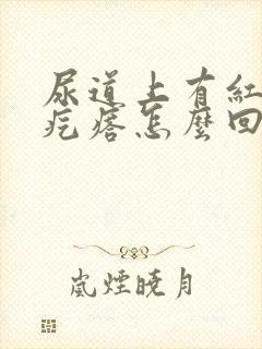 尿道上有红色小疙瘩怎么回事