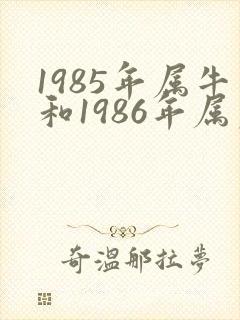 1985年属牛和1986年属虎姻缘怎么样