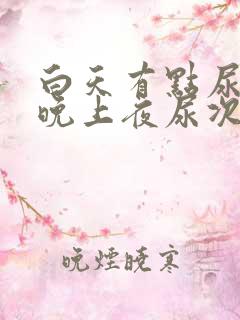 白天有点尿频,晚上夜尿次数多