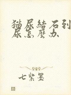 猫尿结石到处乱尿怎么办