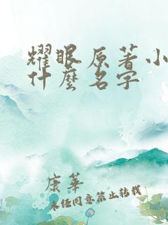 耀眼原著小说叫什么名字