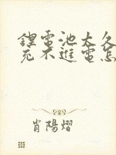 锂电池太久没用充不进电怎么办