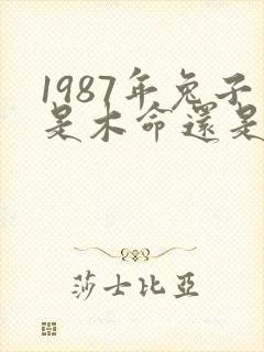 1987年兔子是木命还是火命