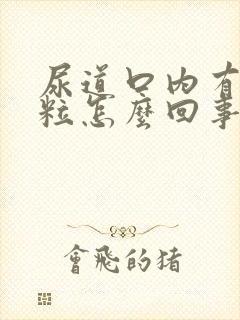 尿道口内有小颗粒怎么回事