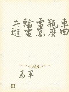 二轮电瓶车充不进电怎么回事