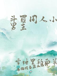 斗罗同人小说双男主