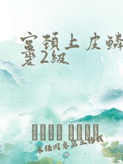 宫颈上皮鳞状病变2级