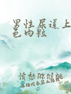 男性尿道上有白色肉粒