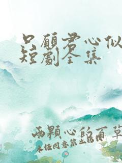 只愿君心似我心短剧全集