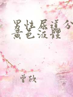 男性尿道分泌淡黄色液体