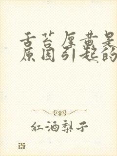 舌苔厚黄是什么原因引起的