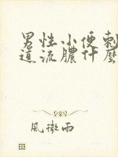 男性小便刺痛尿道流脓什么情况