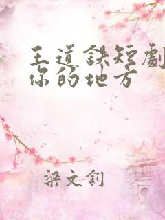 王道铁短剧去有你的地方