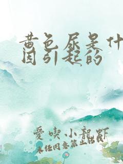 黄色尿是什么原因引起的