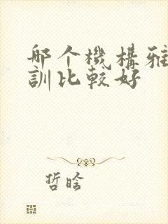 哪个机构雅思培训比较好