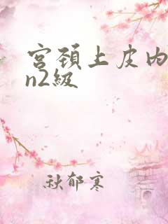 宫颈上皮内cin2级