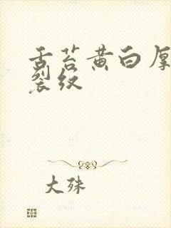 舌苔黄白厚腻有裂纹