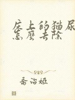 床上的猫尿骚味怎么去除