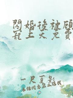 闪婚后被顾先生宠上天免费