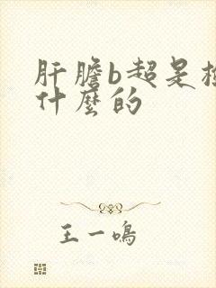 肝胆b超是检查什么的