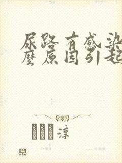 尿路有感染是什么原因引起的