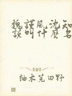 魏谨风沈知玉小说叫什么名字