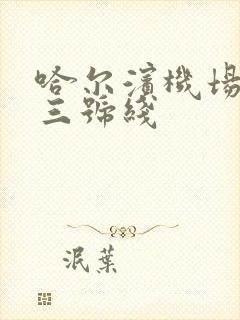 哈尔滨机场大巴三号线