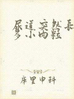 尿道突然长了好多小肉粒