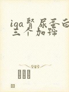 iga肾尿蛋白三个加号