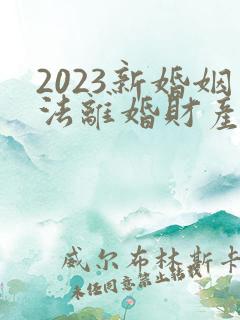 2023新婚姻法离婚财产分割