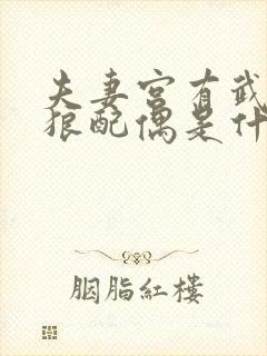 夫妻宫有武曲贪狼配偶是什么样的