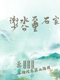 衡水至石家庄多少公里