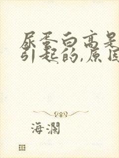 尿蛋白高是怎么引起的,原因是什么