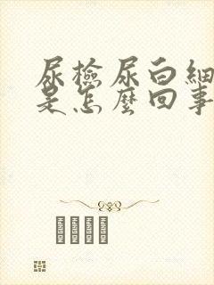 尿检尿白细胞高是怎么回事