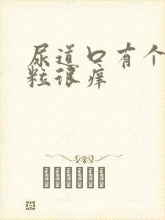 尿道口有个小肉粒很痒