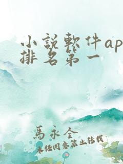 小说软件app排名第一