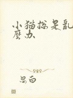 小猫总是乱尿怎么办