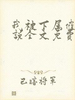 我被下属催眠小说全文免费阅读