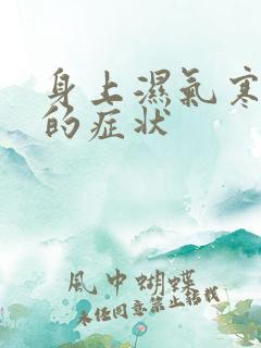 身上湿气寒气重的症状