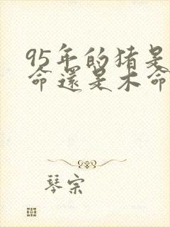 95年的猪是火命还是木命