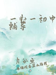 一对一初中冲刺辅导