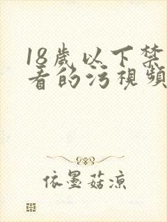 18岁以下禁止看的污视频