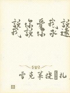 说你爱我说你要我说你永远不离开我