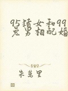 95猪女和99兔男相配婚姻如何