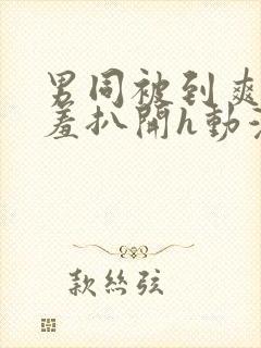 男同被到爽流羞羞扒开h动漫软件