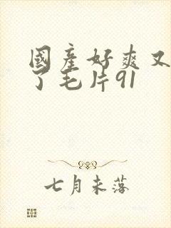 国产好爽又高潮了毛片91