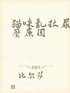 猫咪乱拉尿是什么原因