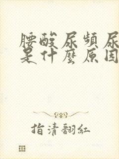 腰酸尿频尿无力是什么原因?